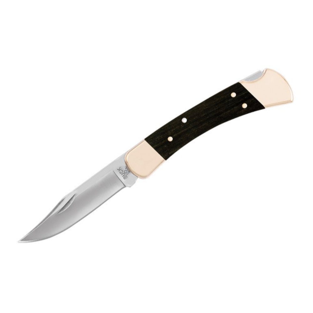 Buck 110 Folding Hunter Knife 1 Buck 110 Folding Hunter Knife