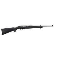 Ruger 10/22 Take Down