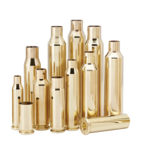 hornady brass case