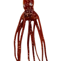 Delta Octopus Body