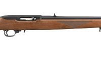 Ruger 10/22 sporter