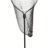 Nets